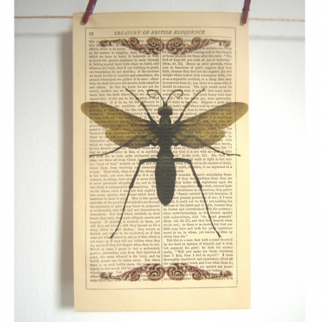 Roo Abrook Insect Vintage Print