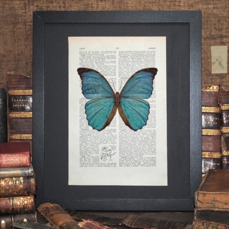 Blue Morpho Butterfly Vintage Print