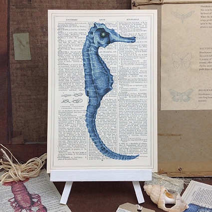 Seahorse Roo Abrook Print