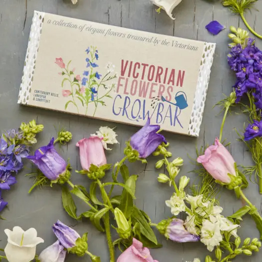 Victorian Flowers Growbar