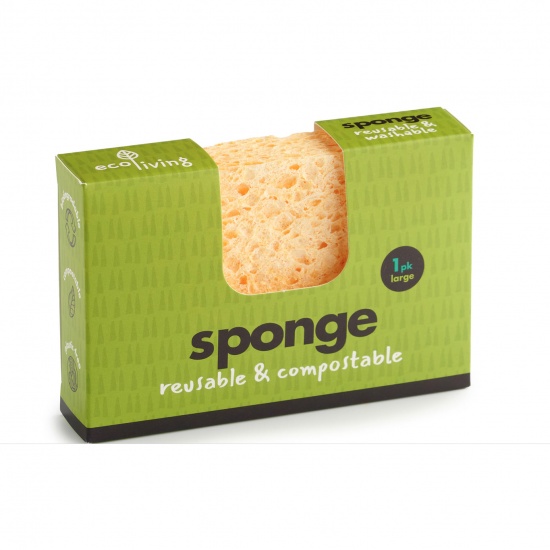 Compostable Sponge