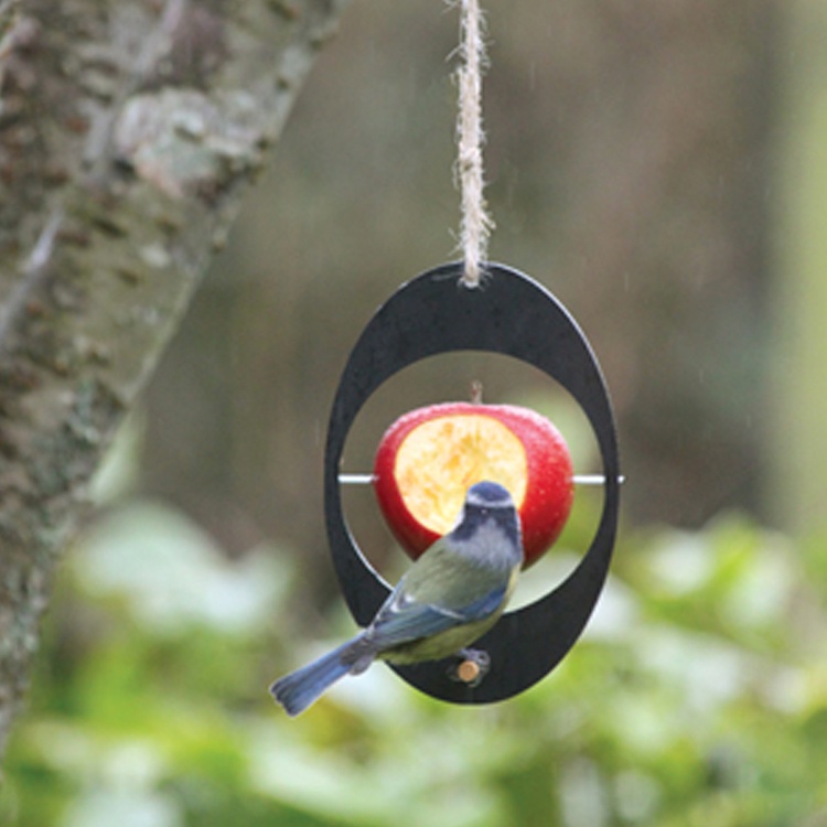 ashortwalk Hanging Bird Feeder