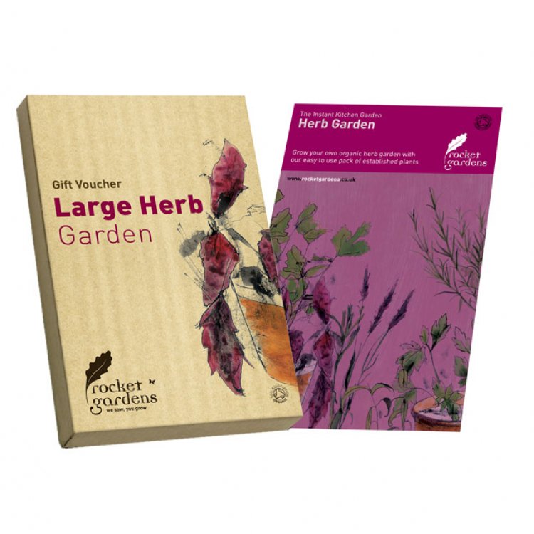 Large Herb Rocket Garden