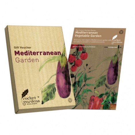 Mediterranean Rocket Garden